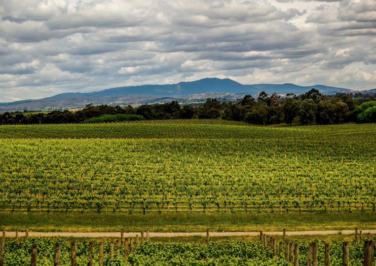 How to Spend 2 Days in the Yarra Valley